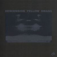 Yellow Swans - Descension