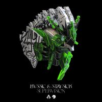 BVSSIC & Staysick - Supervision