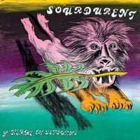 Sourdurent - L'herbe de d&eacute;tourne