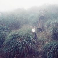 HCMJ - Rabbit Cradle