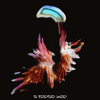 Sub Focus - I Found You