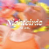 Nightbirde - It's OK