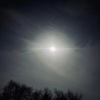 Andrew Tasselmyer - Improvisations