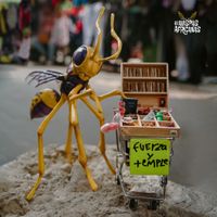 Las Avispas Africanas - Fuerza y Temple