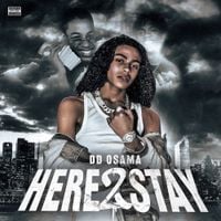 DD Osama - Here 2 Stay