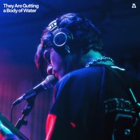 They Are Gutting a Body of Water - They Are Gutting A Body Of Water on Audiotree Live