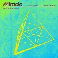 Calvin Harris & Ellie Goulding - Miracle (David Guetta Remix)