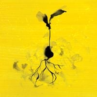 Ed Sheeran - Life Goes On