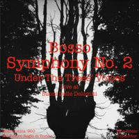 Ezio Bosso - Symphony No. 2 "Under the Trees Voices"