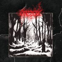 &Oacute;rei&eth;a - The Eternal