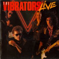 The Vibrators - Live