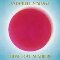 Andy Bell - Tidal Love Numbers