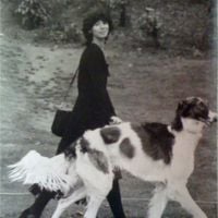 ovine hall - ovine hall