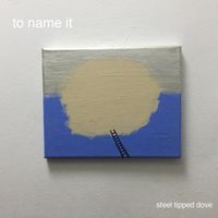 Steel Tipped Dove - To Name It