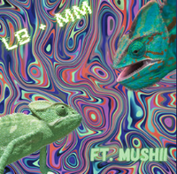 levelboy - Chameleon