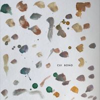 Steel Tipped Dove - Cui Bono