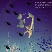 Steel Tipped Dove - An Avenue at Noon
