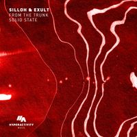 Silloh - From The Trunk / Solid State