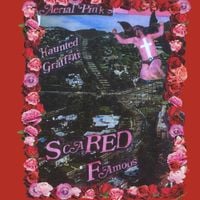 Ariel Pink - Scared Famous / FF>>