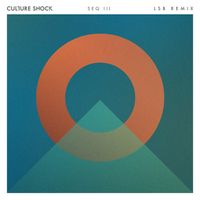 Culture Shock - There For You (LSB Remix)