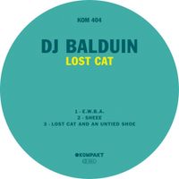 DJ Balduin - Lost Cat