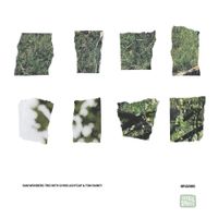 Sam Weinberg & Chris Lightcap & Tom Rainey - Implicatures