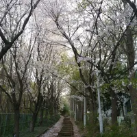 끝이별 [laststar] - 꽃샘추위 (Recurrence)