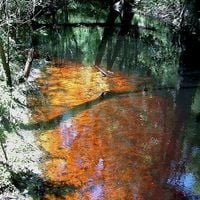 Jamison Bleached Waters - Black Water (E)