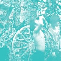 Deerhunter - Weird Era Cont.