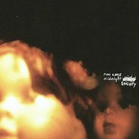 Fog Lake - midnight society