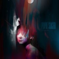 Pupil Slicer - Momentary Actuality