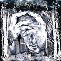 Woods of Ypres - Woods 5: Grey Skies & Electric Light
