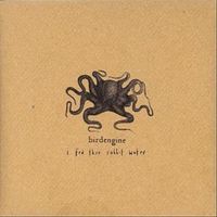 Birdengine - I Fed Thee Rabbit Water