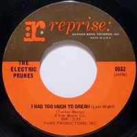 The Electric Prunes - I Had Too Much to Dream (Last Night)