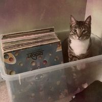 Aubs Eternal - The Lost Tapes