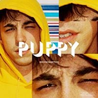 BROCKHAMPTON - PUPPY (natty)