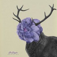 Ours Samplus - Bepolar
