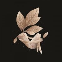 Lisandro Aristimu&ntilde;o - Constelaciones