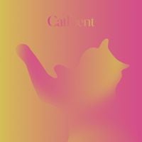 Tomasz Bednarczyk - Catbient
