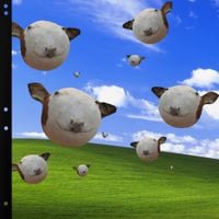 Koraii - Balloonimals