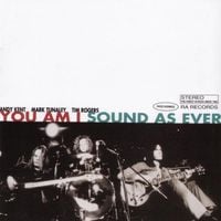 You Am I - Sound as Ever
