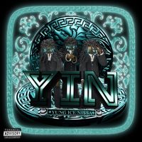 IceBirds - Y.I.N