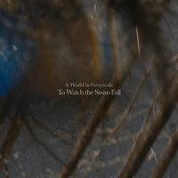 A World In Grayscale - To Watch the Swan Fall