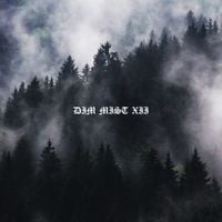 Axolotl - Dim Mist XII