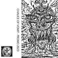 Chalice Of Vomit - Promo 2023