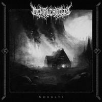 Mental Cruelty - Nordlys