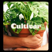 Zeeba - Cultivar