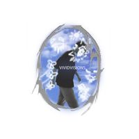 ((platinum)) - vividvisions: everlasting dream
