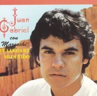 Juan Gabriel - Te llegar&aacute; mi olvido