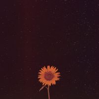 Joel Ansett - Layers